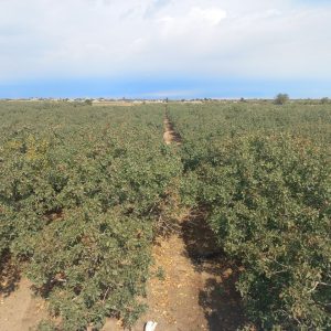 photo_2024-01-13_18-20-40