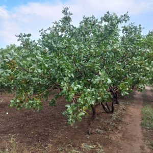 photo_2024-01-13_18-20-49