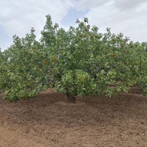 photo_2024-01-13_18-22-38