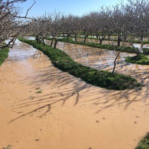 photo_2024-01-18_21-37-38