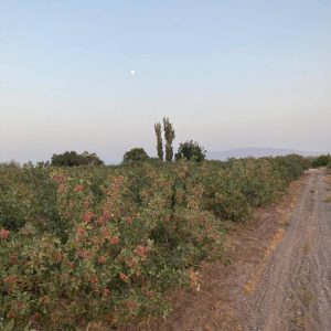 photo_2024-01-18_21-37-46