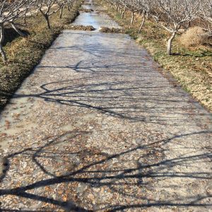 photo_2024-01-18_21-37-50