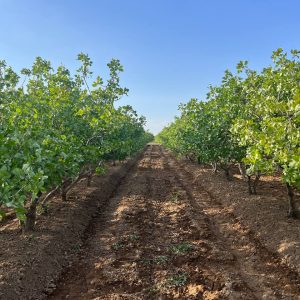 photo_2024-01-18_21-43-43